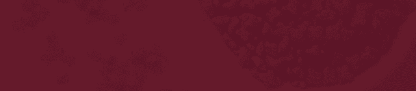 Shop Banner